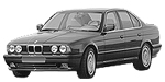 BMW E34 P1001 Fault Code