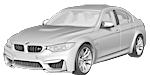 BMW F80 P1001 Fault Code